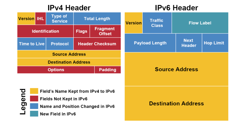 IP Header
